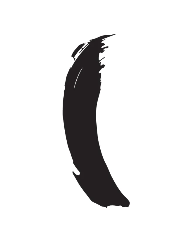 wisdom-image